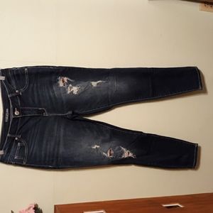 Maurices L jegging